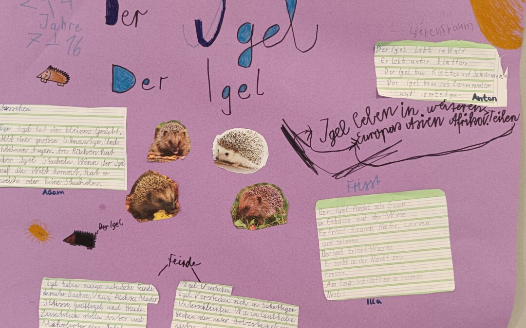 Tierplakate gestaltet von der Klasse 2d