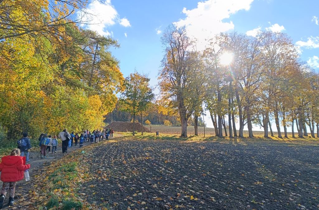 Waldtage der Klasse 1g und 3g