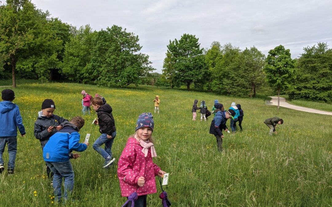 Expedition Wiese